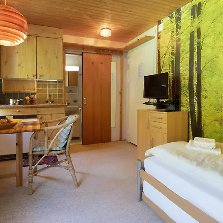 Promenade 414 By Interhome * Arosa